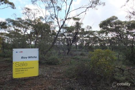 4 First St, Snowtown, SA 5520