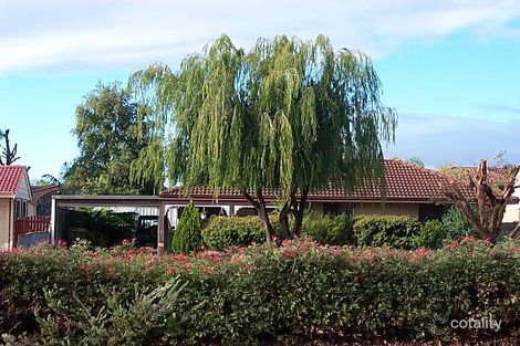 118 Morley Dr E, Eden Hill, WA 6054