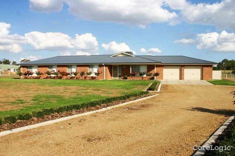 Property photo of 6 Gwynne Place Junee NSW 2663