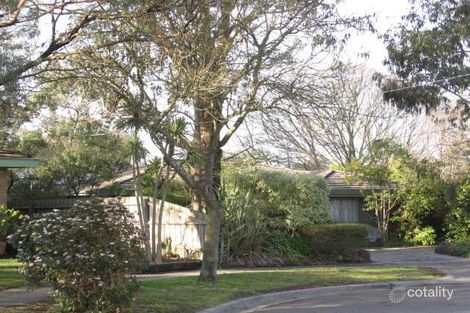 1/6 Olympic Ct, Glen Waverley, VIC 3150