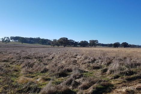 Property photo of 261 Bergalin Road Gulgong NSW 2852