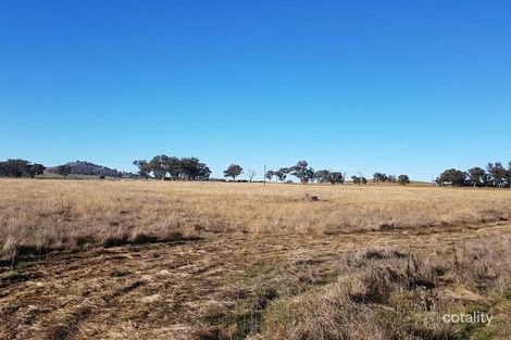 Property photo of 261 Bergalin Road Gulgong NSW 2852