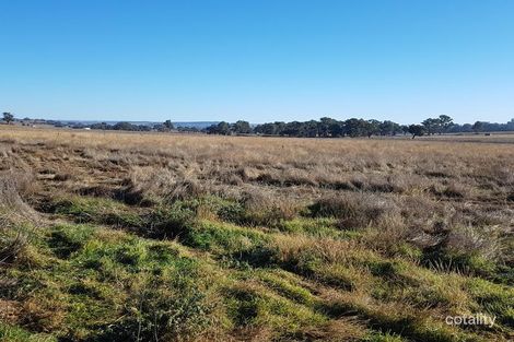 Property photo of 261 Bergalin Road Gulgong NSW 2852
