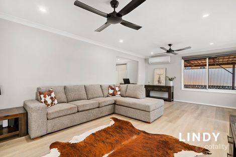 Property photo of 13 Watts Close Singleton Heights NSW 2330