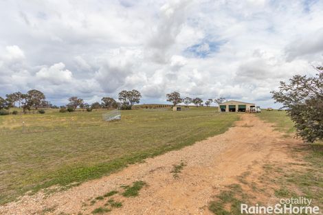 17 Station St, Brewongle, NSW 2795