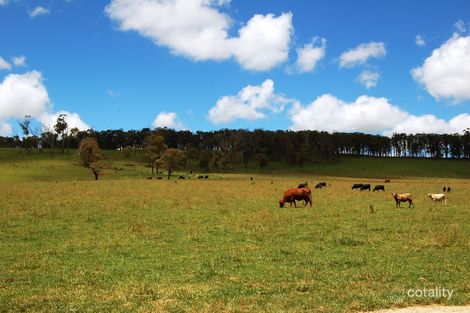 475 Pound Rd, Ebor, NSW 2453