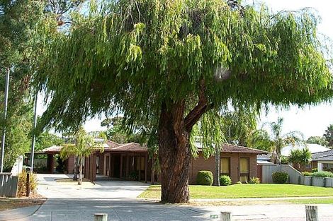 2/38 Hammad St, Palmyra, WA 6157