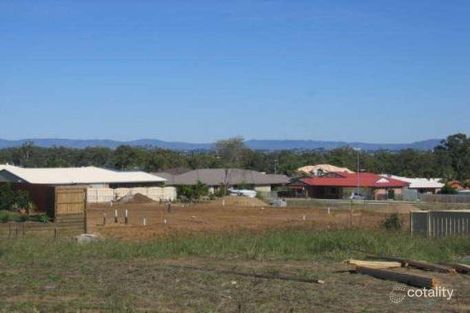 Property photo of 10 Cycad Court Norman Gardens QLD 4701