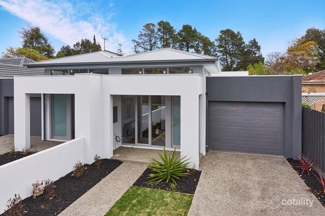 Property photo of 11B Jean Street Cheltenham VIC 3192