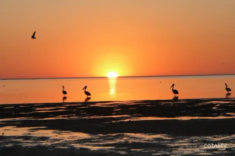 1725 Chinaman Wells Rd, Chinaman Wells, SA 5573