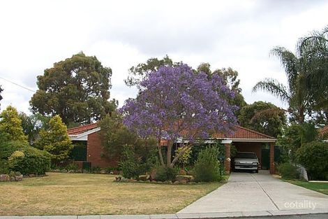 Property photo of 6 Tangelo Court Seville Grove WA 6112