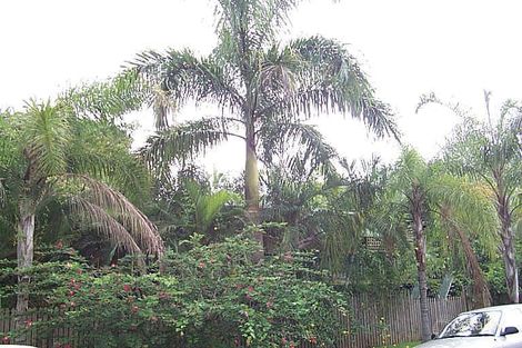 41 Cavendish St, Earlville, QLD 4870