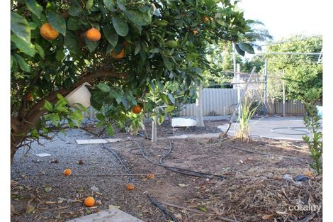 7 Short St, Dongara, WA 6525