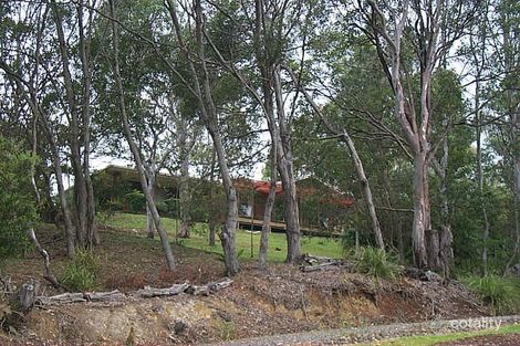 450 Richmond Hill Rd, Richmond Hill, NSW 2480