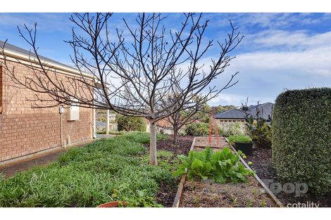 Property photo of 6 Star Lily Street Craigburn Farm SA 5051