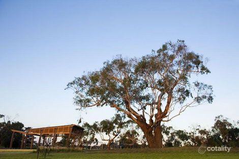 Property photo of 7 Currawong Close Cowes VIC 3922