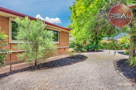 Property photo of 14 Vicki Avenue Salisbury East SA 5109