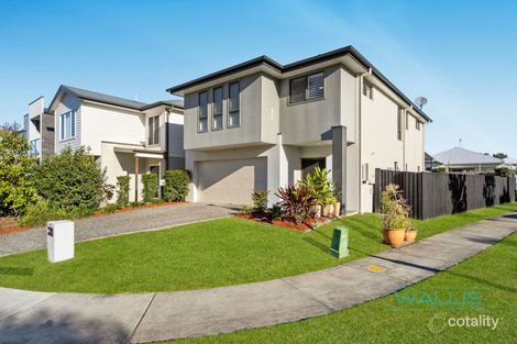 Property photo of 42 Lackmann Crescent Mango Hill QLD 4509