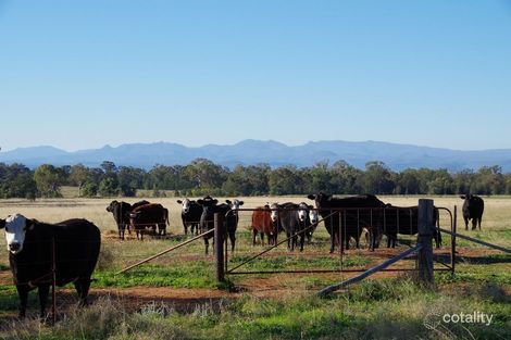 791 Mayfield Rd, Baan Baa, NSW 2390