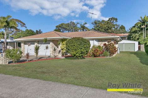 42 Agnes St, Birkdale, QLD 4159