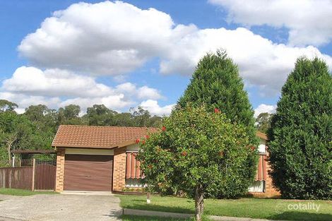 Property photo of 10 Dormer Grove Quakers Hill NSW 2763