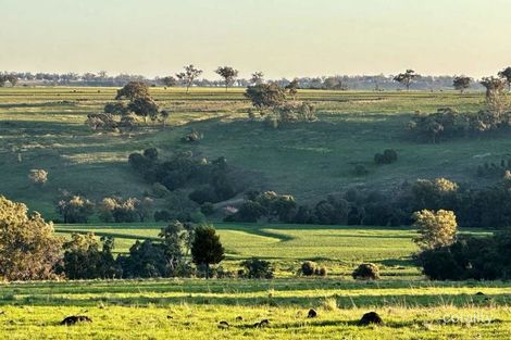 907 Lecoin Rd, Gragin, NSW 2403