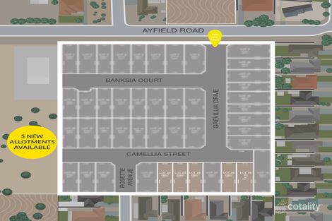 3 Camellia St, Para Hills West, SA 5096