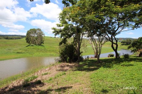 Property photo of 8 Jacaranda Drive Yungaburra QLD 4884