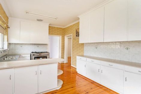 52 Arthur St, Plympton Park, SA 5038