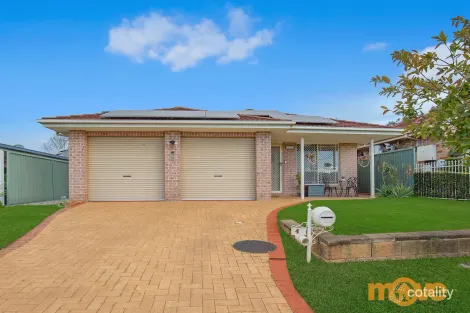 Property photo of 4 Webb Place Minto NSW 2566