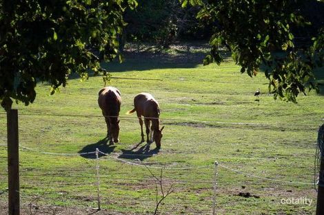 Property photo of 30 Guilford Court Bellmere QLD 4510