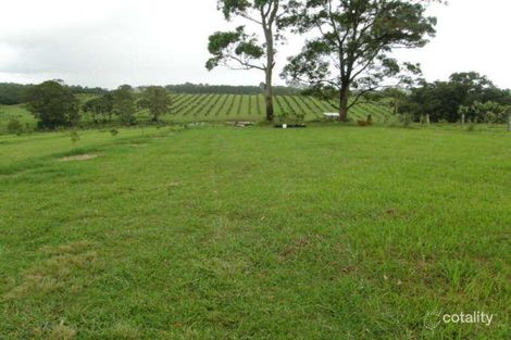 676 Rous Rd, Tregeagle, NSW 2480