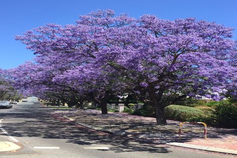 1/37 Strickland St, South Perth, WA 6151