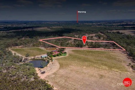 Property photo of 140 Forest Drive Myers Flat VIC 3556