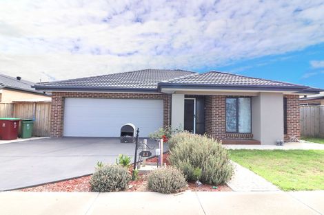 Property photo of 11 Clydevale Avenue Clyde North VIC 3978