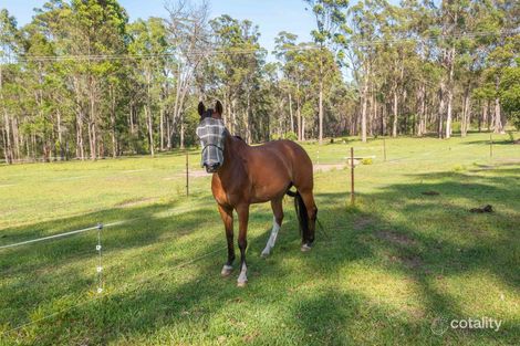 Property photo of 74 Rodeo Drive Kundabung NSW 2441