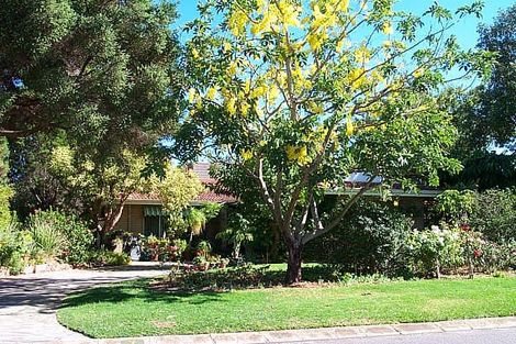 7 Regency Dr, Thornlie, WA 6108