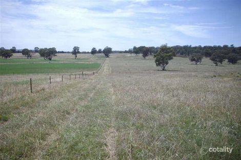 61 Wattle Rd, Elong Elong, NSW 2831