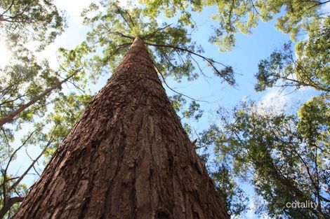 Property photo of 661 Old Goomboorian Road Veteran QLD 4570