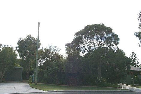 Property photo of 31 Tremandra Way Parkwood WA 6147