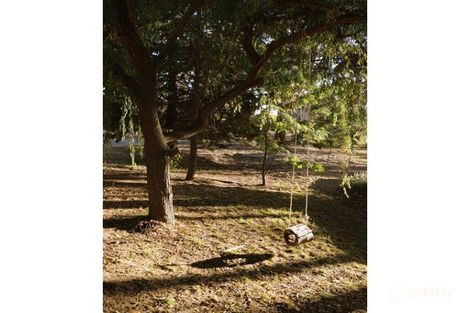 Property photo of 31 Valley View Crescent Norton Summit SA 5136