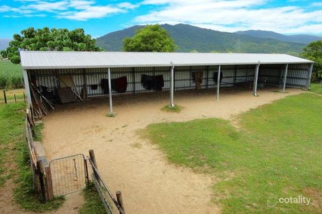 Property photo of 2161 Clyde Road Babinda QLD 4861