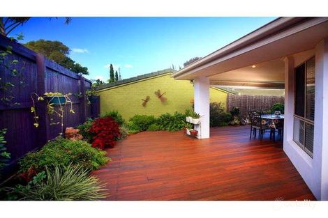 Property photo of 7 Scanlan Court Buderim QLD 4556