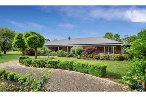 113 Ferris Lane, Saumarez Ponds, NSW 2350