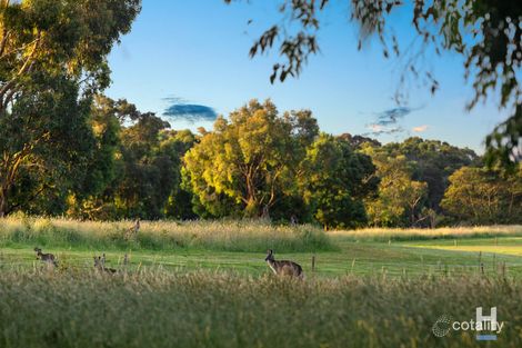 Property photo of 78 Maintop Ridge Botanic Ridge VIC 3977