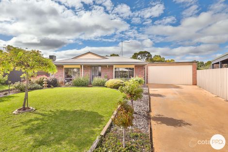 Property photo of 7 Caffrey Court Irymple VIC 3498