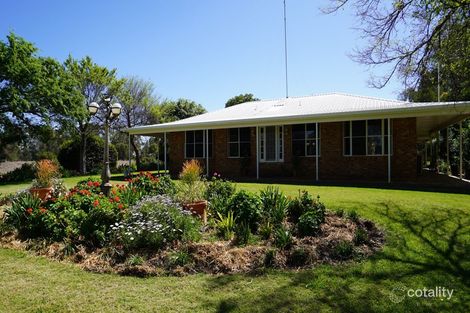 Property photo of 259 River Street Moree NSW 2400