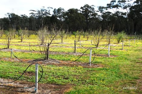 Property photo of 504 Stuart Mill Road Dunolly VIC 3472