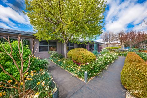 Property photo of 6 Packer Street Weetangera ACT 2614