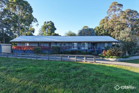 Property photo of 11 Redenbach Court Swan Reach VIC 3903